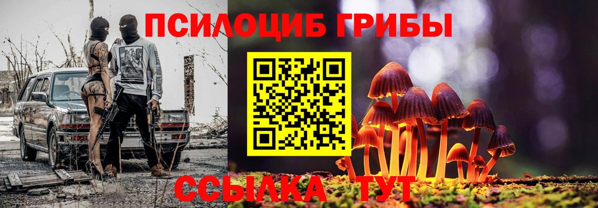 Псилоцибиновые грибы Psilocybe Серов