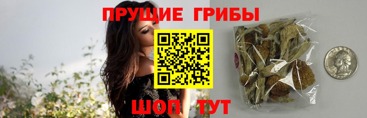 Псилоцибиновые грибы мухоморы  Вход с VPN  Серов  Галлюциногенные грибы прущие грибы 